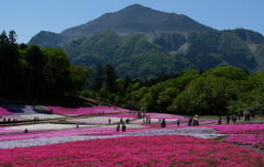 羊山公園・２