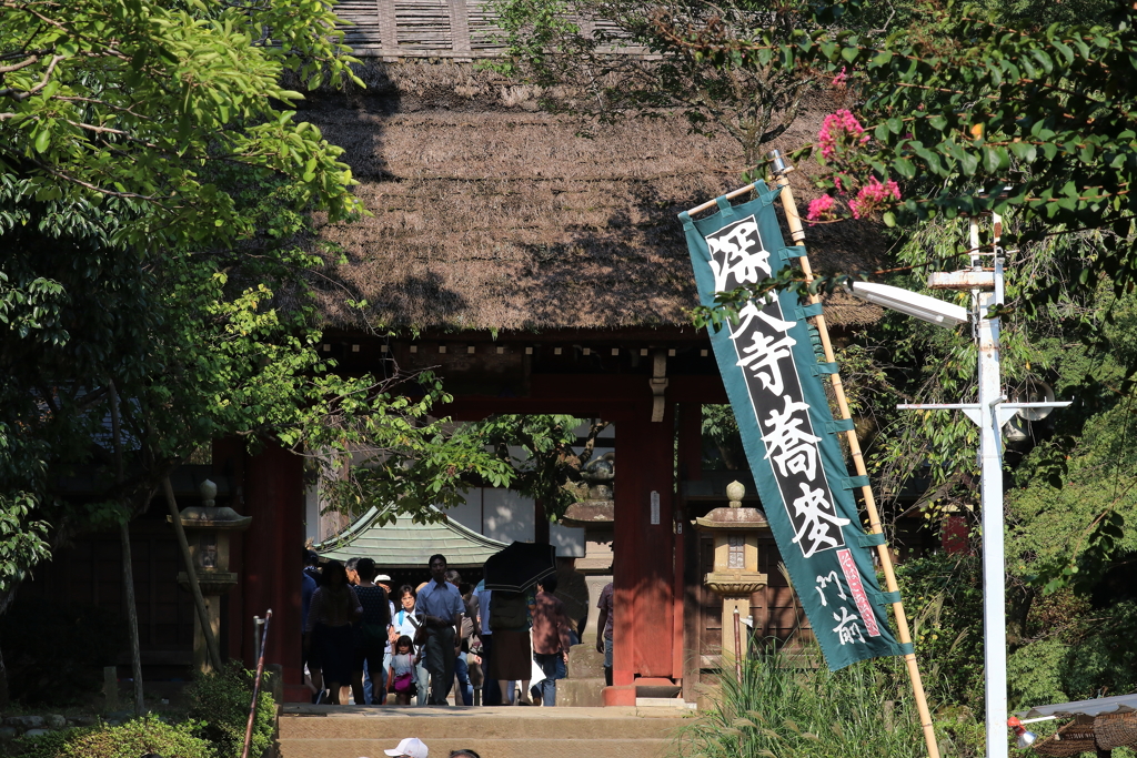 調布市深大寺ー１