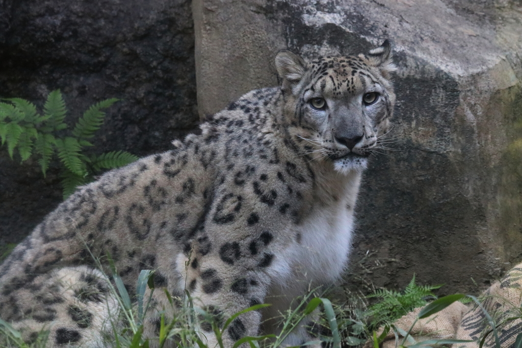 多摩動物公園ー２