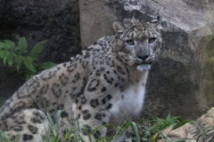 多摩動物公園ー２