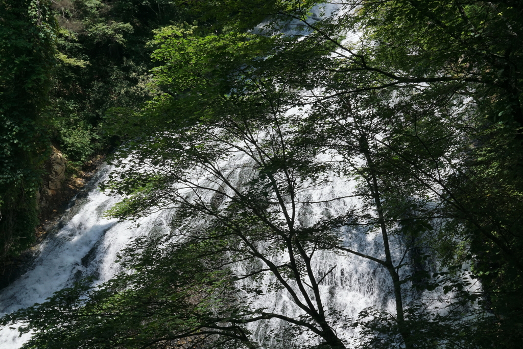 日光湯滝