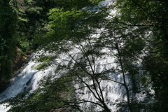 日光湯滝