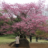 大宮公園・１