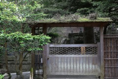 鎌倉　報国寺・３