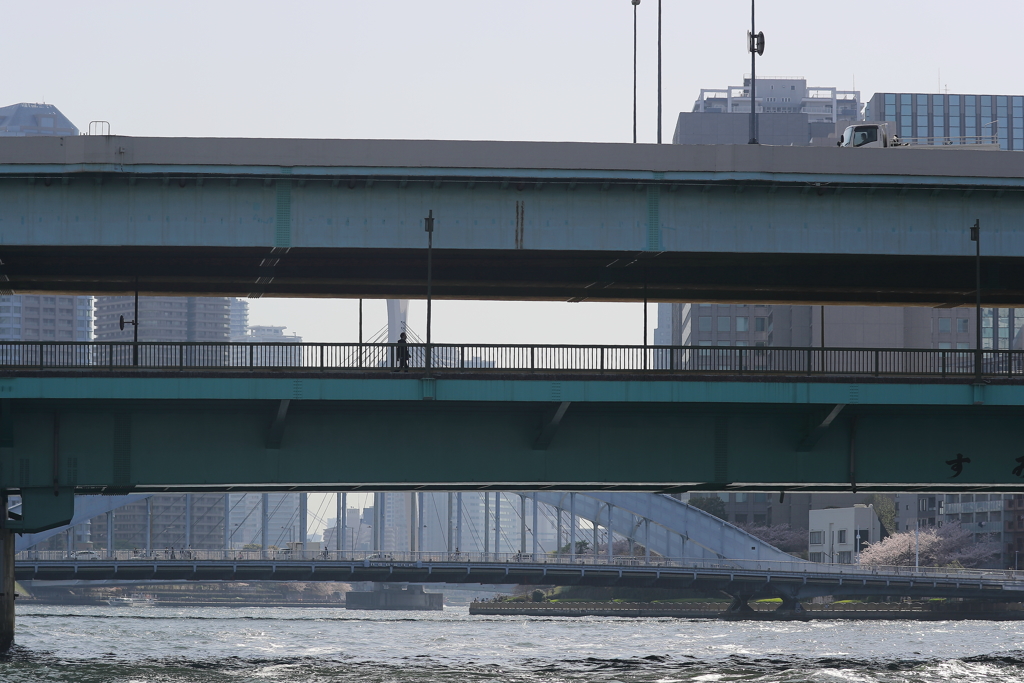 橋