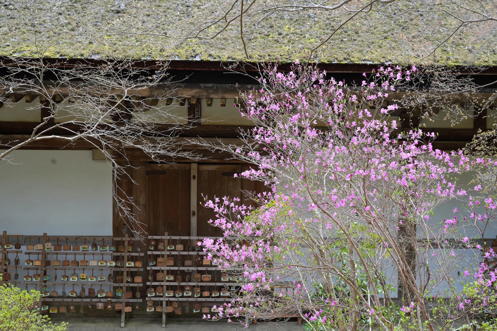 石山寺・１