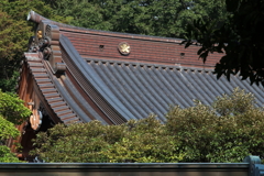 調布市深大寺ー２