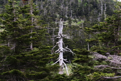 八幡平（１）
