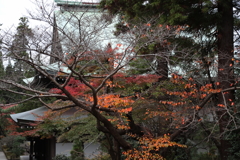 円覚寺・４