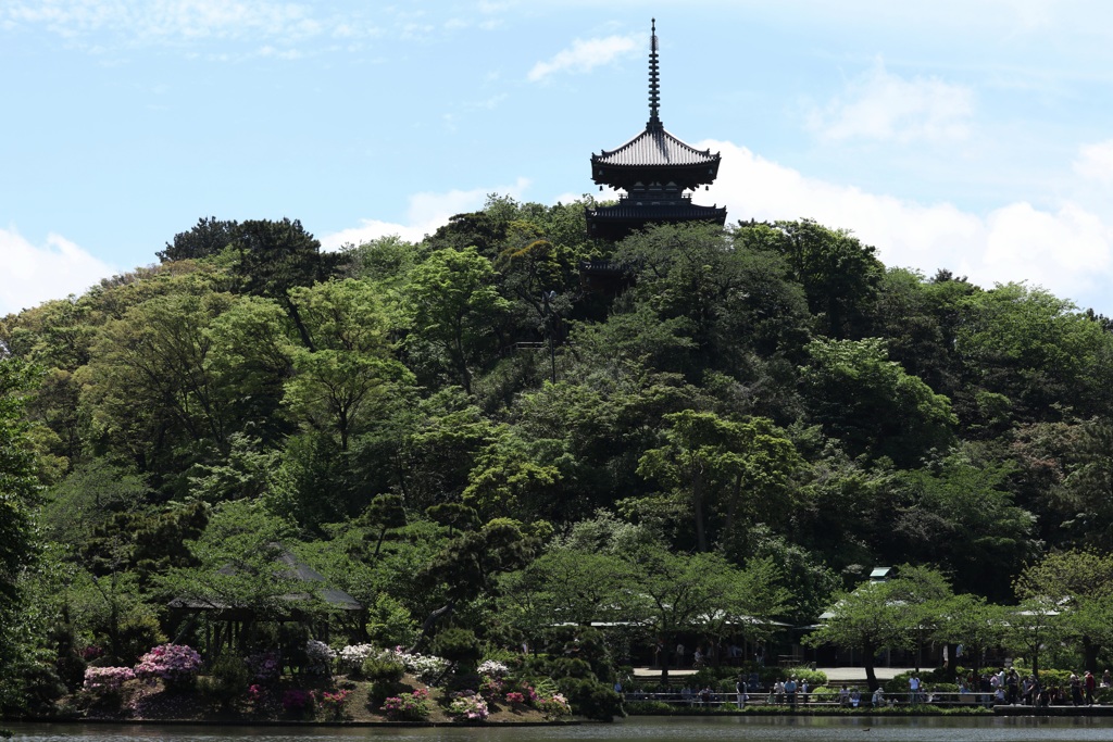 横浜三渓園ー4