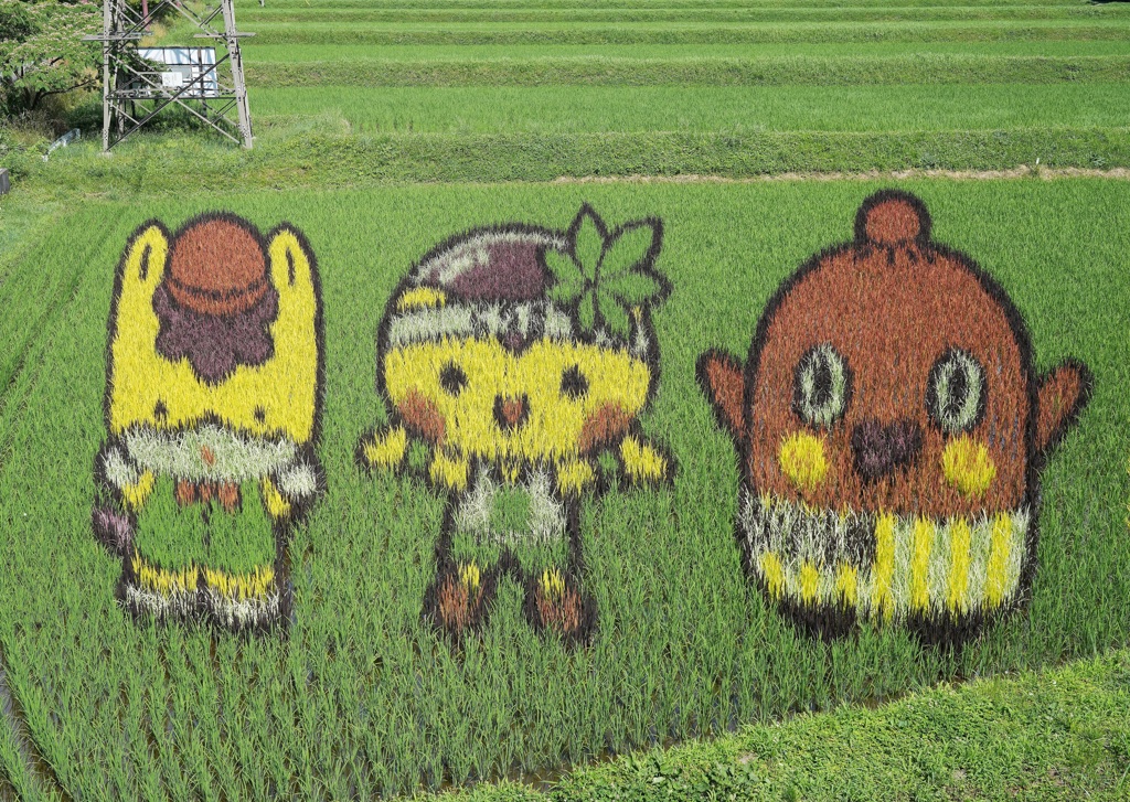 田んぼアート