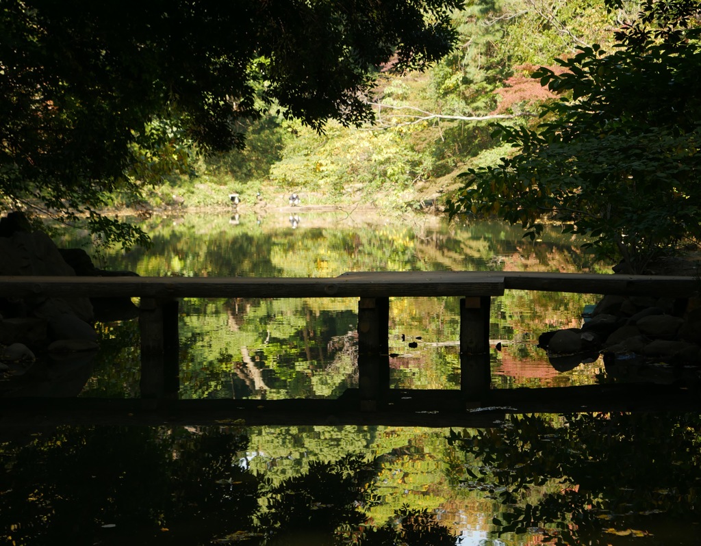 東京大学