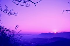 一年、一日をかさね