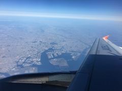 The Tokyo.