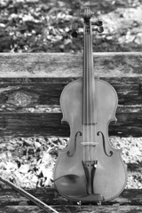 Violin