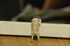 よっと