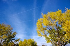 飛行機雲