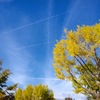 飛行機雲