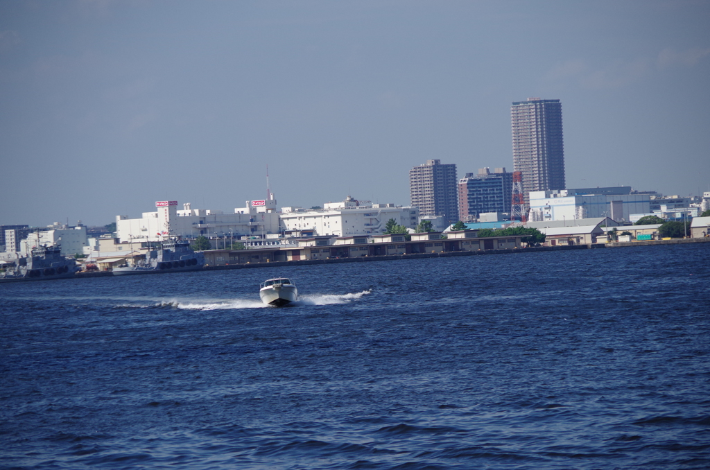 海