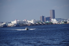 海