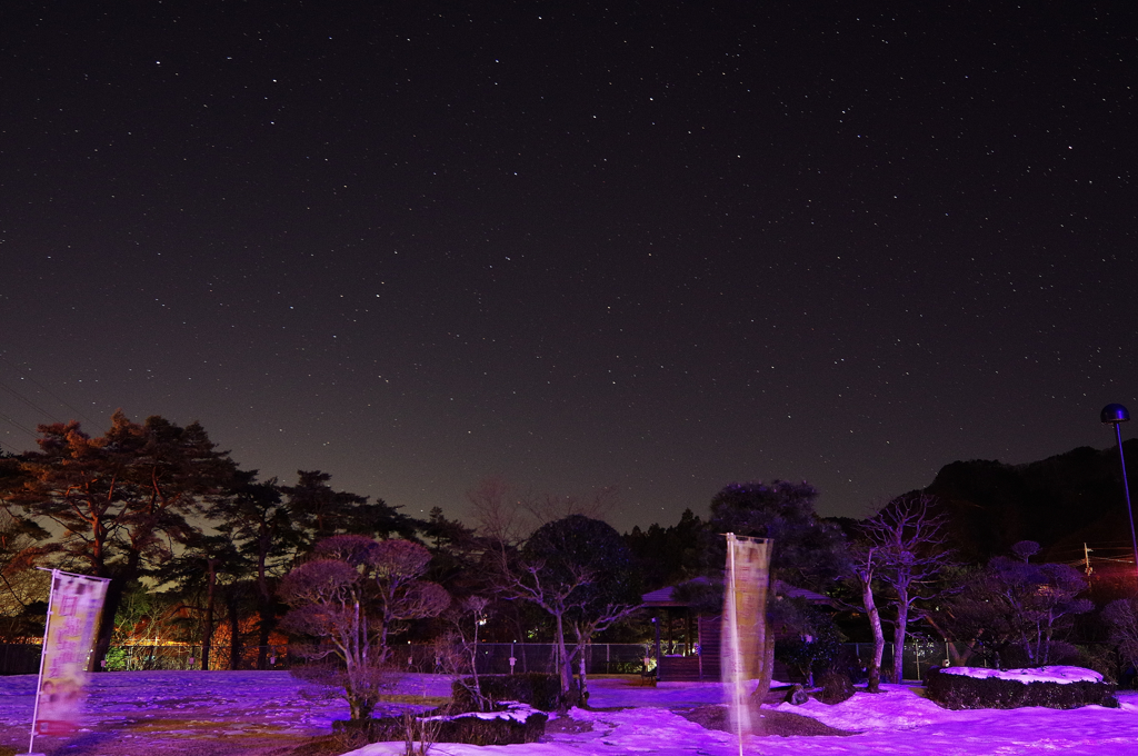 purple night