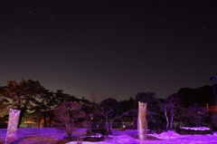 purple night