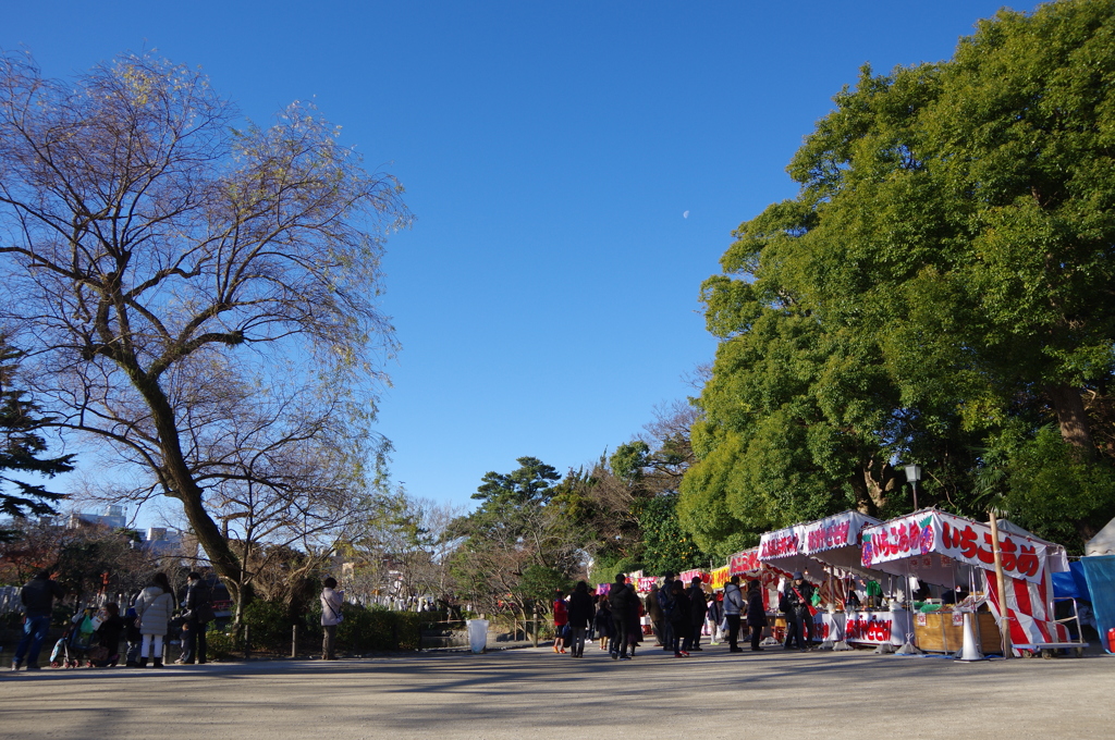 元日の晴天