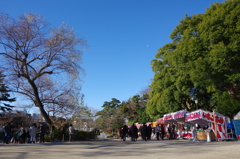 元日の晴天