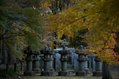 静