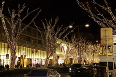 表参道イルミネーション