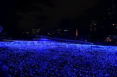 東京ミッドタウン