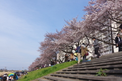 柳瀬川