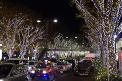 表参道イルミネーション