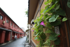路地裏