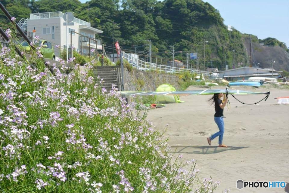 海へ