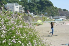 海へ