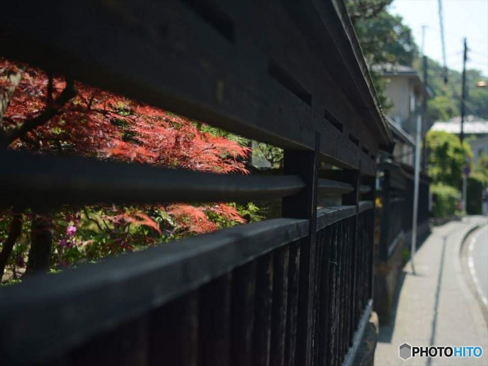 FB_IMG_1450366097821