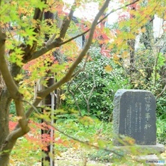 世界平和
