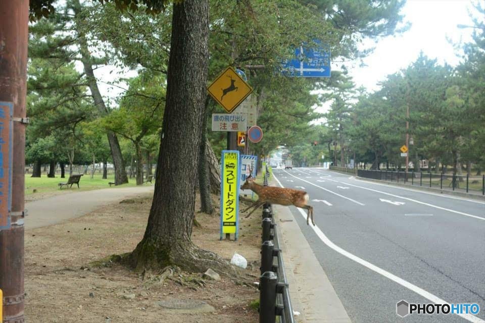 ハードル