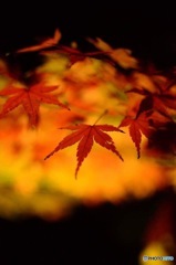 FB_IMG_1450125148603