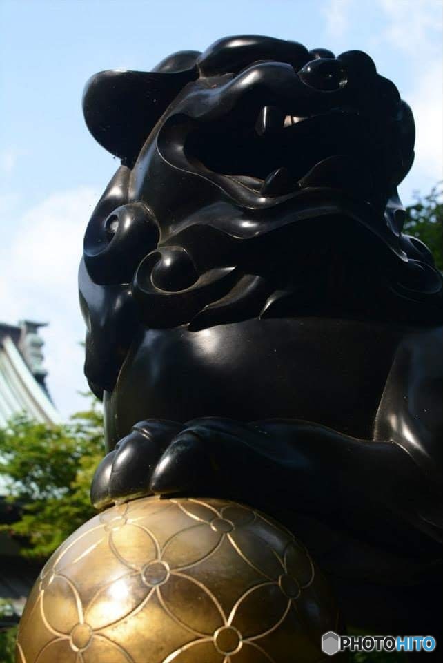 サッカー日和だわ。
