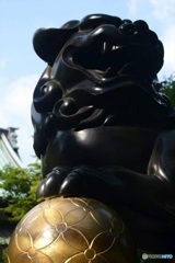 サッカー日和だわ。