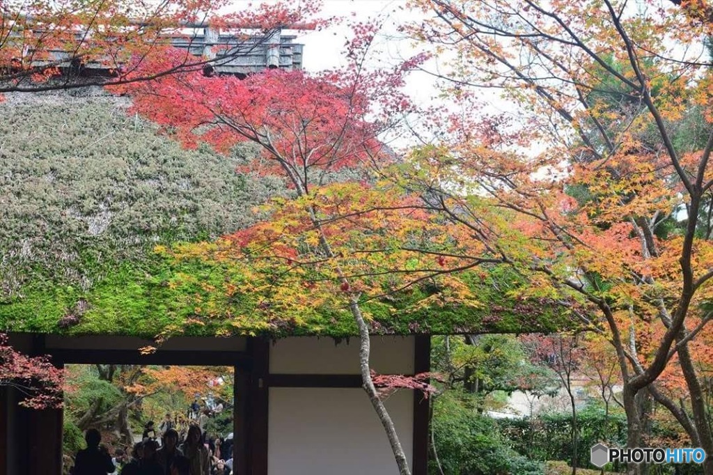 FB_IMG_1450125476100