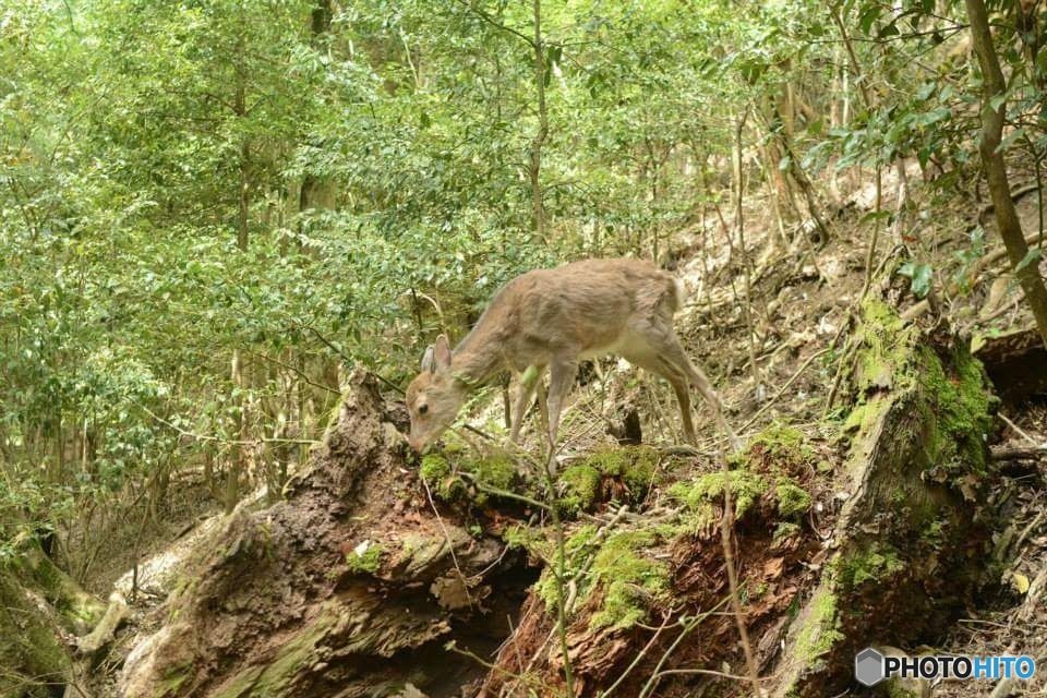 FB_IMG_1450366306578