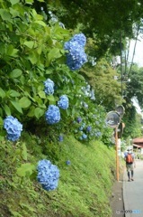 FB_IMG_1450451862887