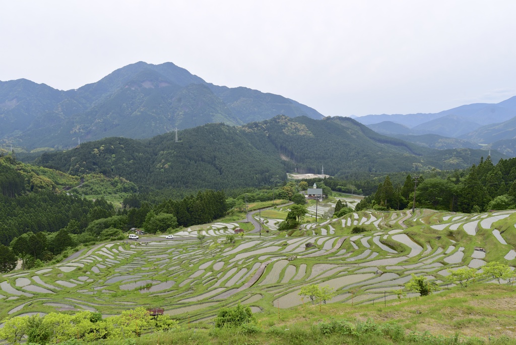 田園風景 - 丸山千枚田２