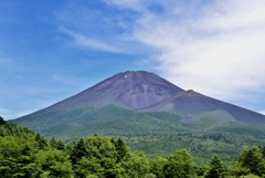 気持ちの良い朝