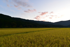 山里に秋が来た！