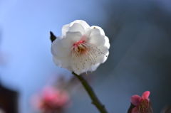 ようやく会えたね！　今年の君に