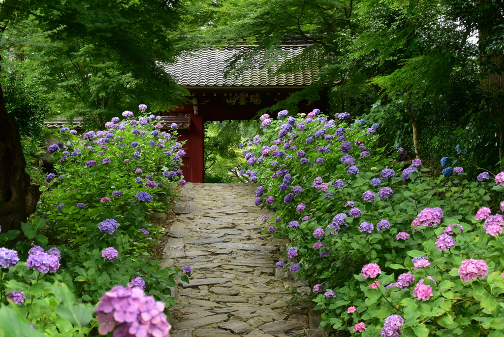 瑞雲山、この門の先には